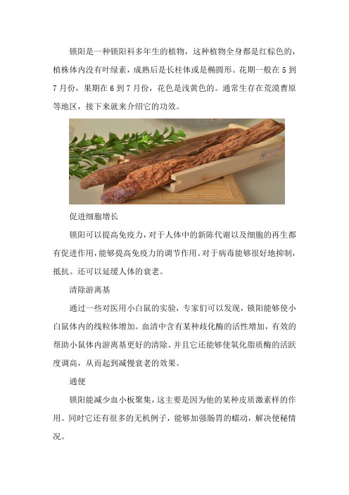 锁阳的功效与作用