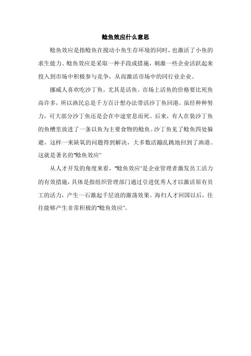 鲶鱼效应什么意思