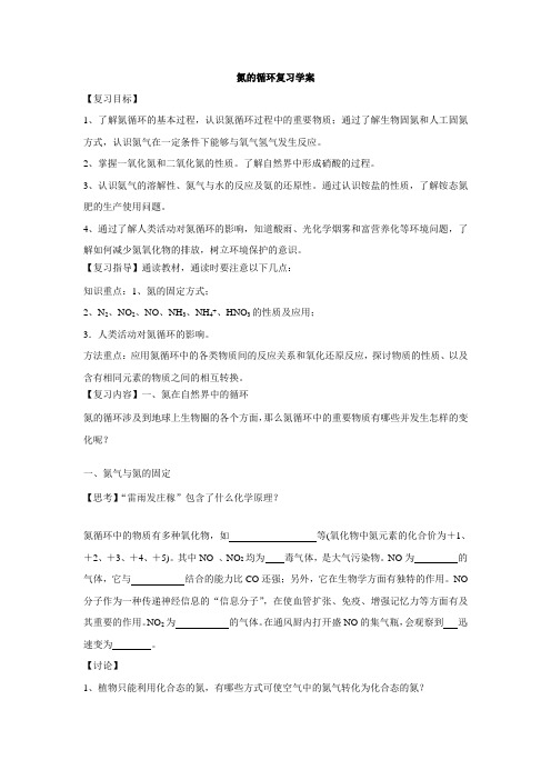 氮的循环复习学案