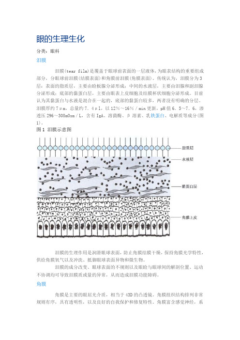 眼的生理生化