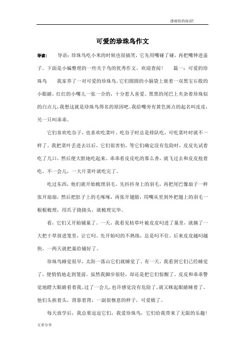 可爱的珍珠鸟作文