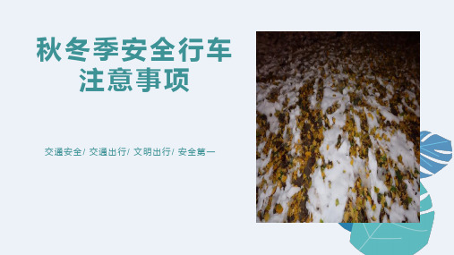 雨雾雪行车安全知识培训