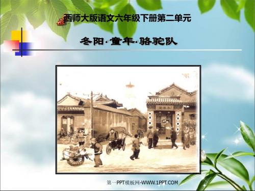 《冬阳·童年·骆驼队》PPT课件4 (共14张PPT)