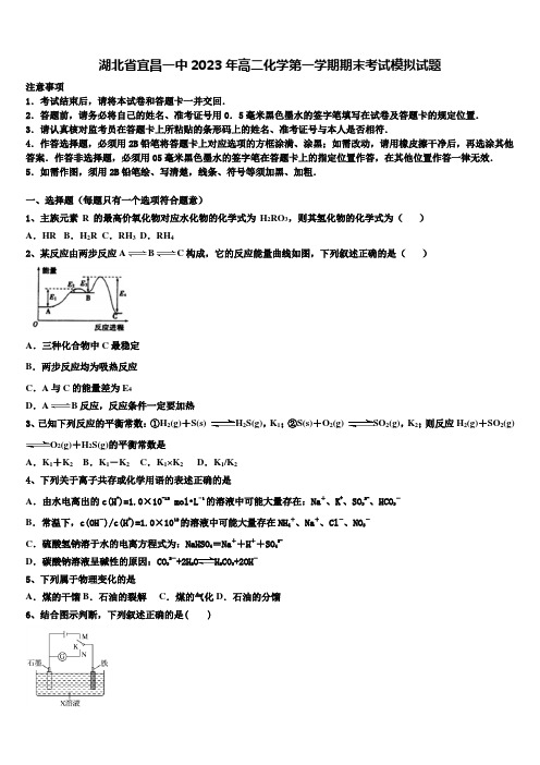 湖北省宜昌一中2023年高二化学第一学期期末考试模拟试题含解析