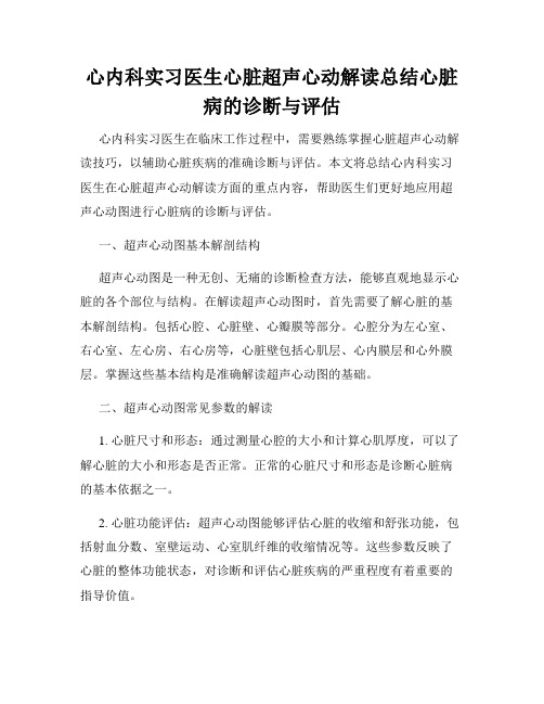 心内科实习医生心脏超声心动解读总结心脏病的诊断与评估