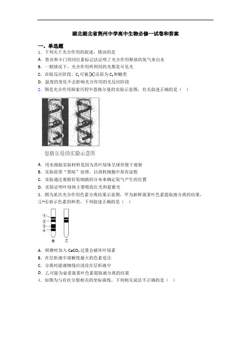 湖北湖北省荆州中学高中生物必修一试卷和答案