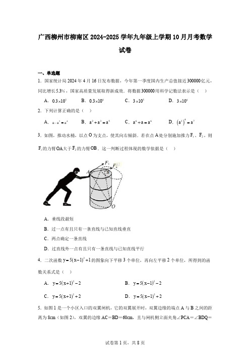 广西柳州市柳南区2024-2025学年九年级上学期10月月考数学试卷