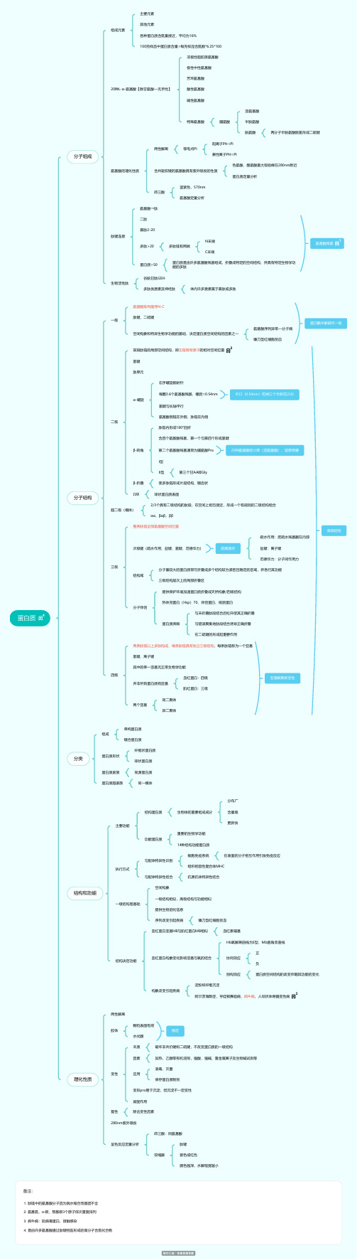 生化-蛋白质思维导图脑图