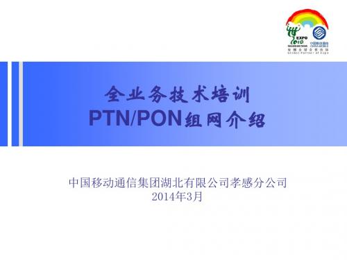 全业务技术培训_PTN组网_PON组网的介绍