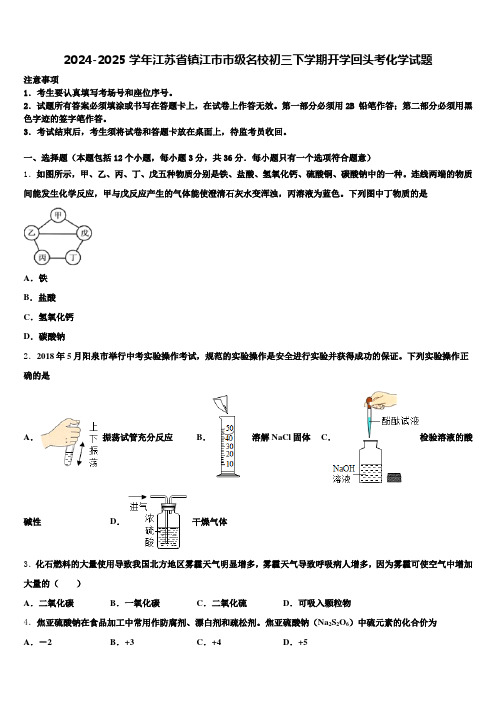 2024-2025学年江苏省镇江市市级名校初三下学期开学回头考化学试题含解析