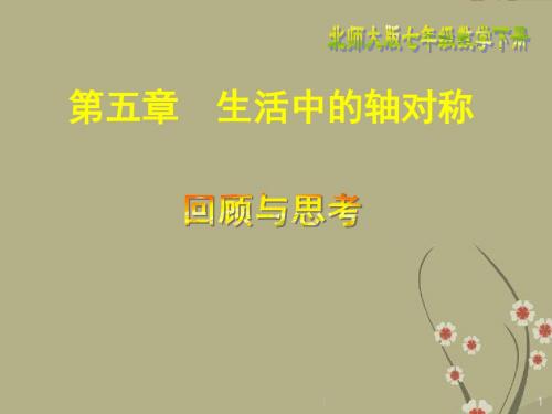 七年级数学下册 第五章回顾与思考课件 (2012新版)北师大版