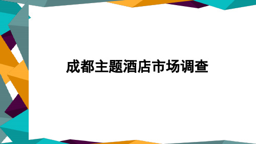 主题酒店前期市场调查