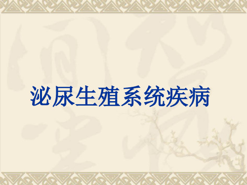 【医学课件】泌尿系统疾病总论及肾小球疾病