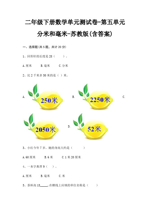 苏教版二年级下册数学单元测试卷第五单元 分米和毫米(含答案)