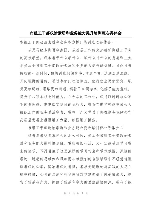 市组工干部政治素质和业务能力提升培训班心得体会