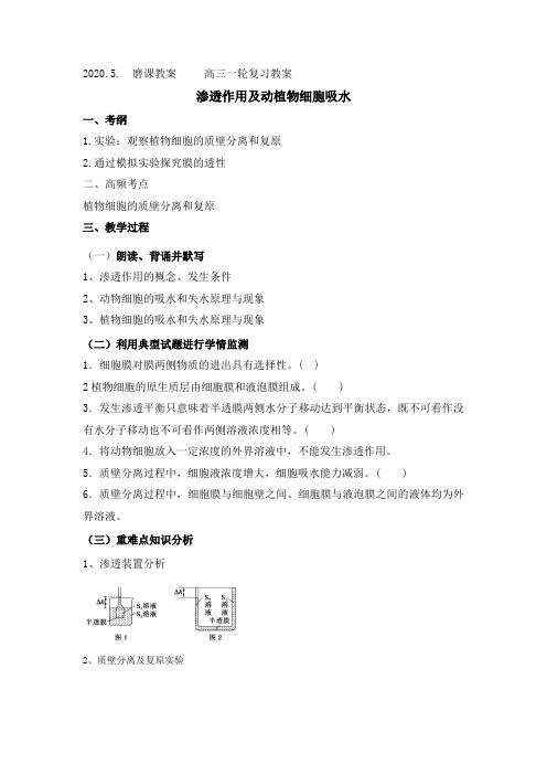 一轮复习必修一教案渗透作用与动植物细胞吸水