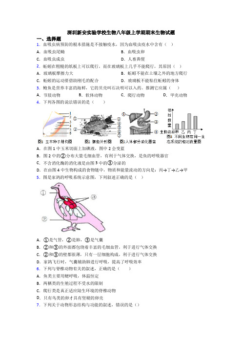 深圳新安实验学校生物八年级上学期期末生物试题