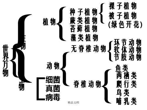 苏教版七年级生物上册复习提纲