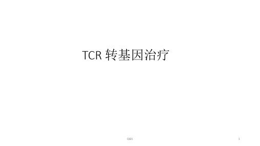 TCR Gene Therapy TCR转基因治疗