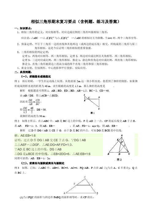 相似三角形期末复习要点(含例题、练习及答案)