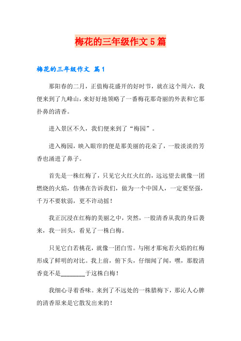 梅花的三年级作文5篇
