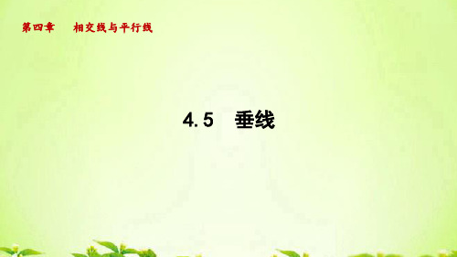 湘教版七年级数学下册_4.5 垂线