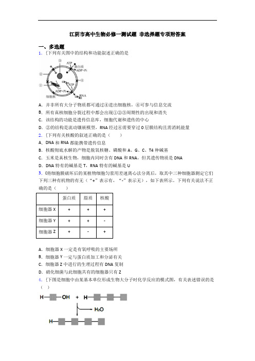 江阴市高中生物必修一测试题 非选择题专项附答案