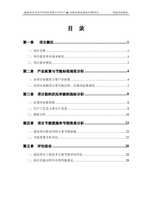 化纤项目节能评估报告