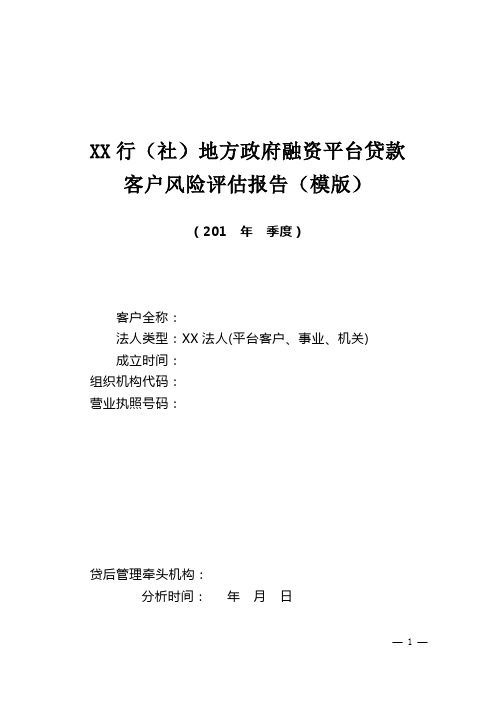 地方融资平台贷款客户风险评估报告模板(修改)