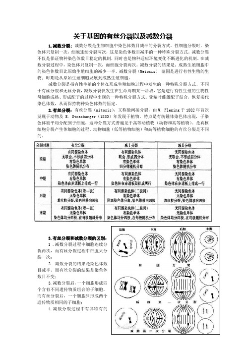 关于基因的有丝分裂以及减数分裂