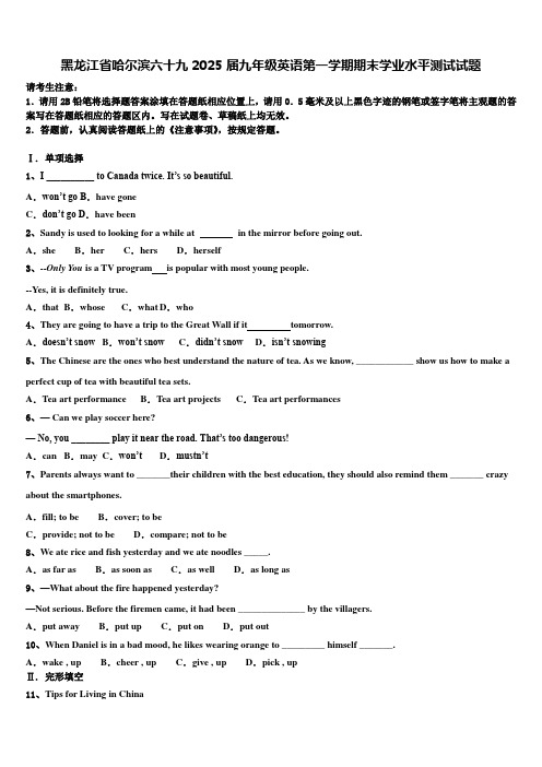 黑龙江省哈尔滨六十九2025届九年级英语第一学期期末学业水平测试试题含解析