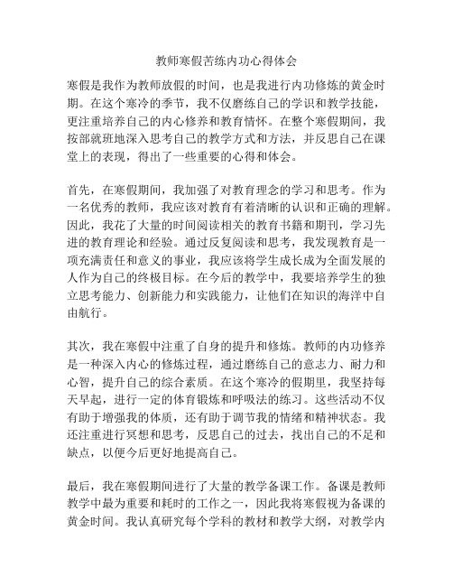 教师寒假苦练内功心得体会