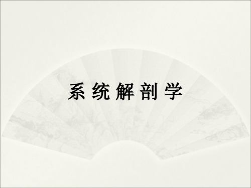 《系统解剖学》绪论、骨总论、关节总论