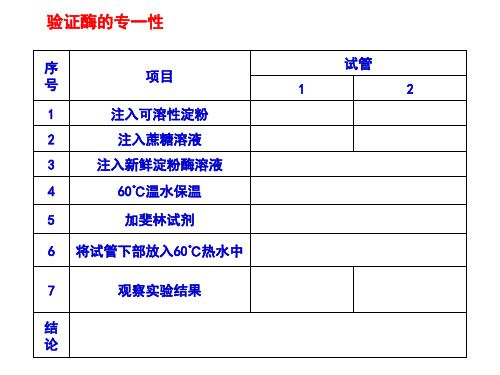 验证酶的专一性