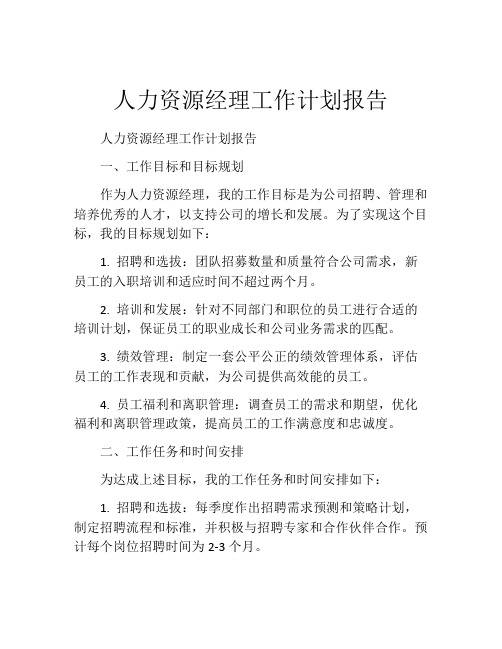 人力资源经理工作计划报告