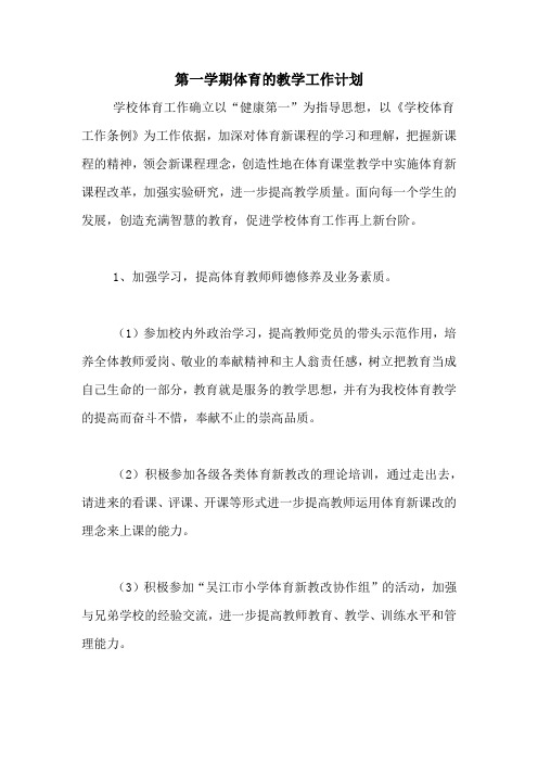2020年第一学期体育的教学工作计划