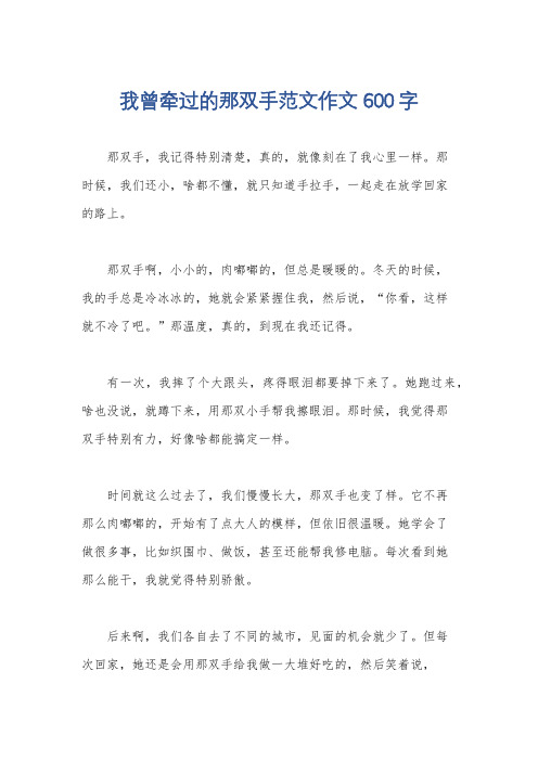 我曾牵过的那双手范文作文600字