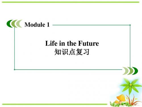 外研版高中英语必修4 Module1 知识点复习精品课件