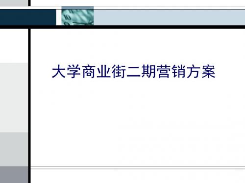 信立怡高济南大学商业街项目二期营销推广方案