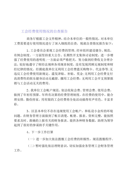 工会经费使用情况的自查报告三篇