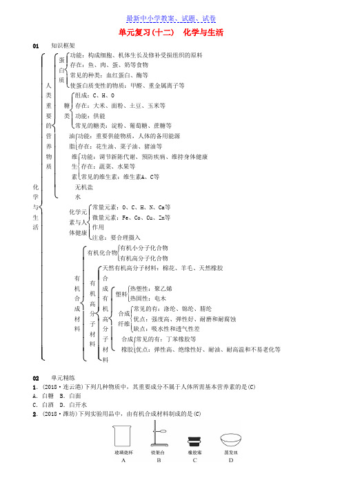 九年级化学下册第十二单元化学与生活单元复习十二化学与生活同步测试含18年真题新版新人教版