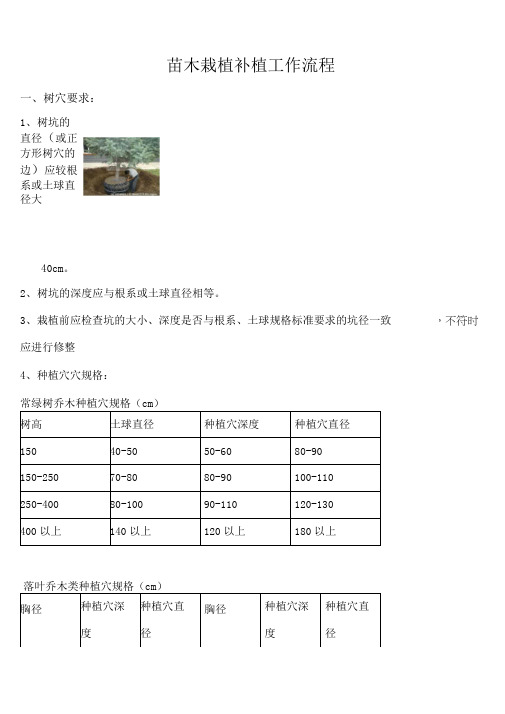 苗木栽植补植工作流程