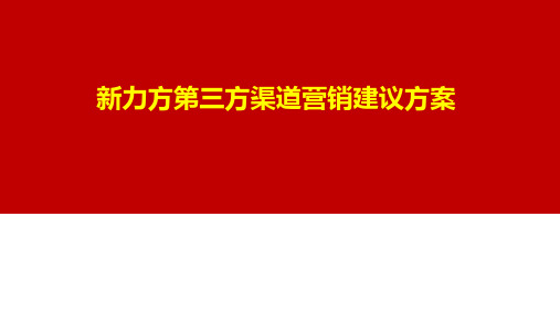 新力方第三方渠道营销建议方案