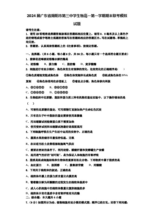 2024届广东省揭阳市第三中学生物高一第一学期期末联考模拟试题含解析