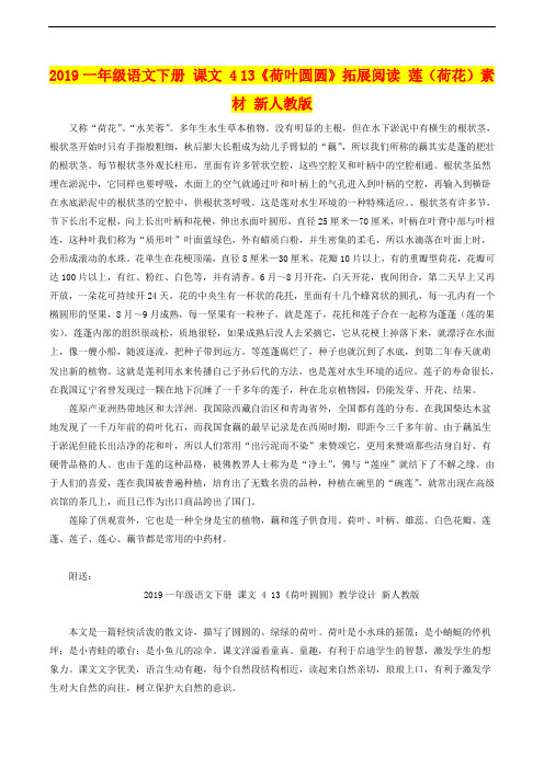 2019一年级语文下册 课文 4 13《荷叶圆圆》拓展阅读 莲(荷花)素材 新人教版