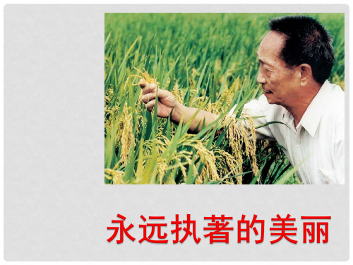 七年级语文上册 第五单元 第21课《永远执着的美丽》课件 沪教版五四制