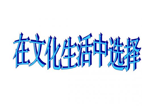 8.2在文化生活中选择