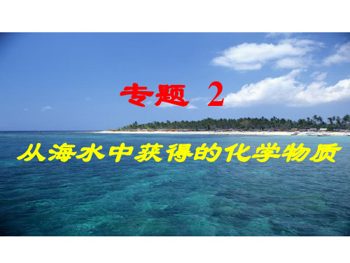 从海水中获得的化学物质