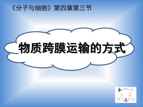 说课-物质跨膜运输