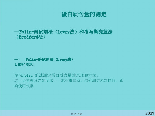 蛋白质含量的测定(共4张PPT)